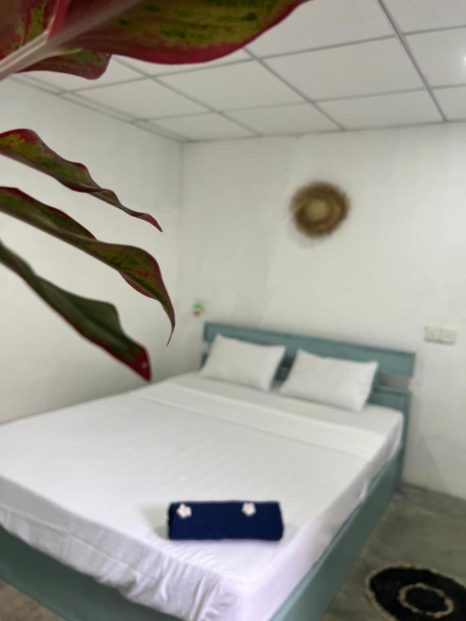 Auberge de jeunesse Cactus Arugambay à Baie d'Arugam Extérieur photo