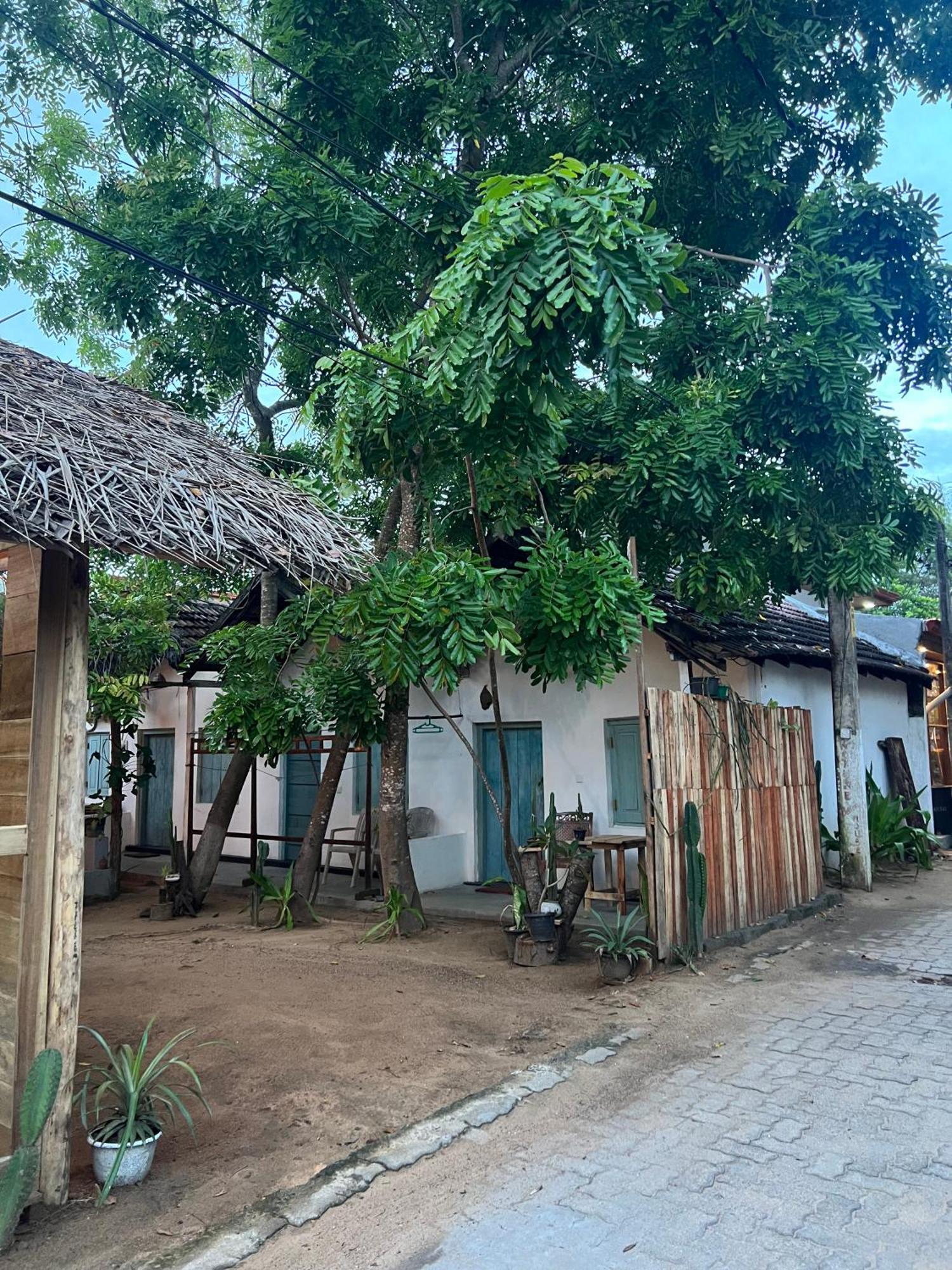 Auberge de jeunesse Cactus Arugambay à Baie d'Arugam Extérieur photo